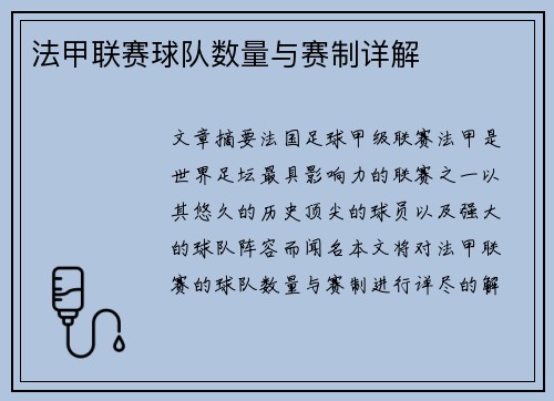 法甲联赛球队数量与赛制详解