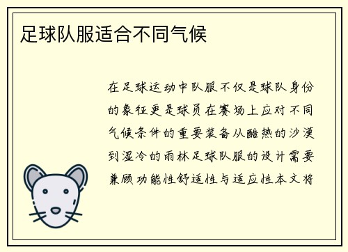 足球队服适合不同气候